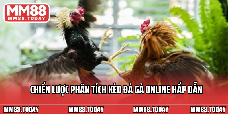 Chiến lược phân tích kèo đá gà online hấp dẫn 