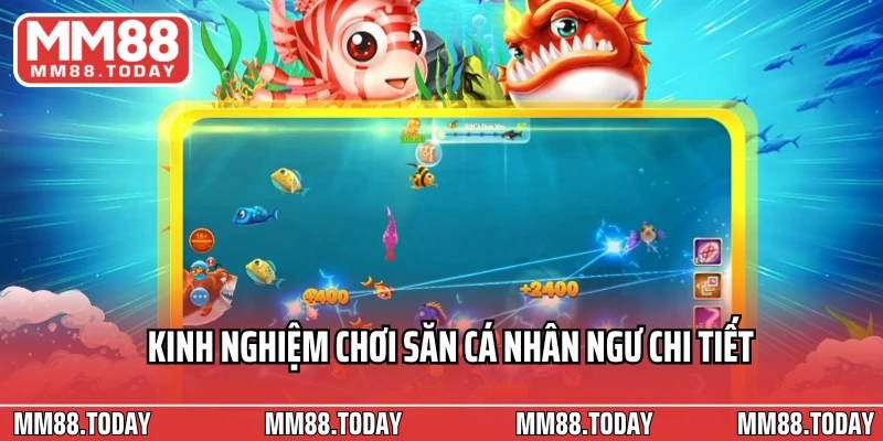 Kinh nghiệm chơi săn cá nhân ngư chi tiết